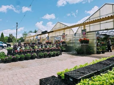 Spring Greenhouse 🌷