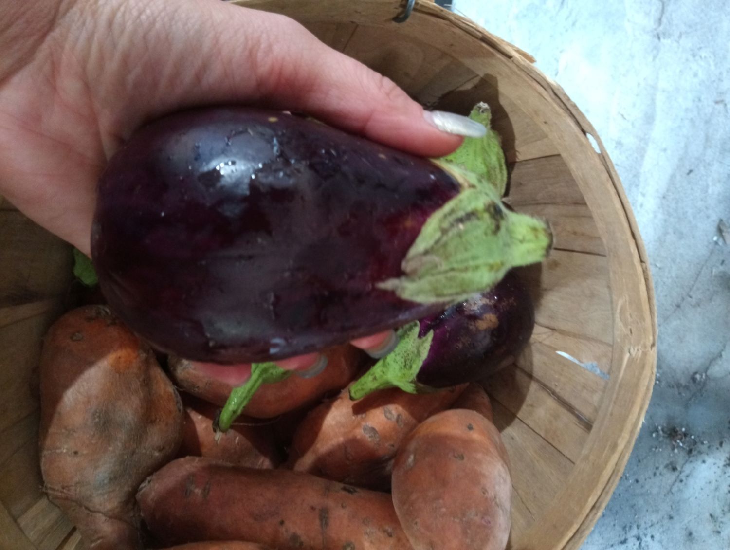 Eggplant