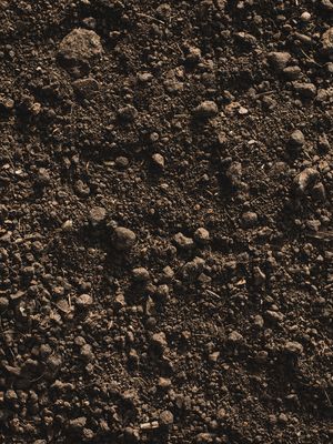 Shredded Topsoil