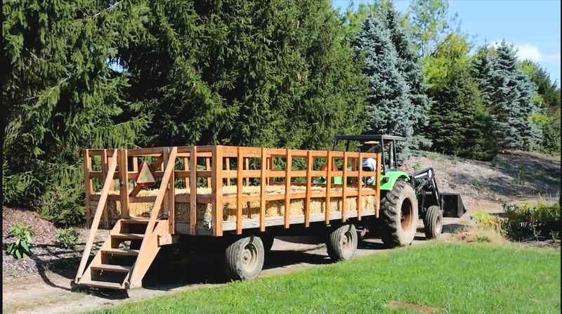 Group Hayride DEPOSIT