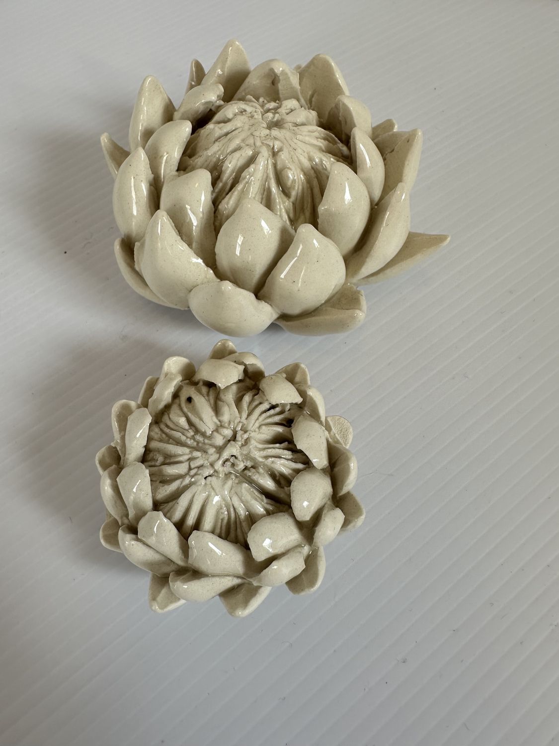 King Protea Decor, Size: Large