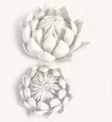King Protea Decor