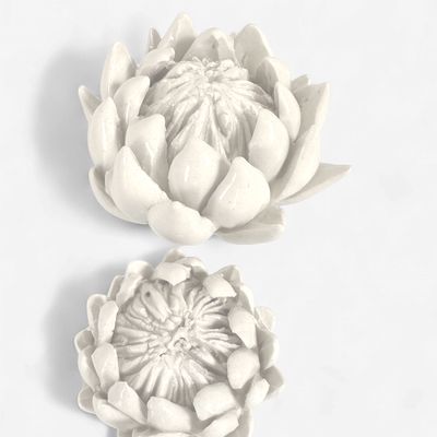 King Protea Paperweight Decor