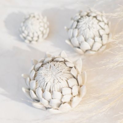 King Protea Paperweight Decor