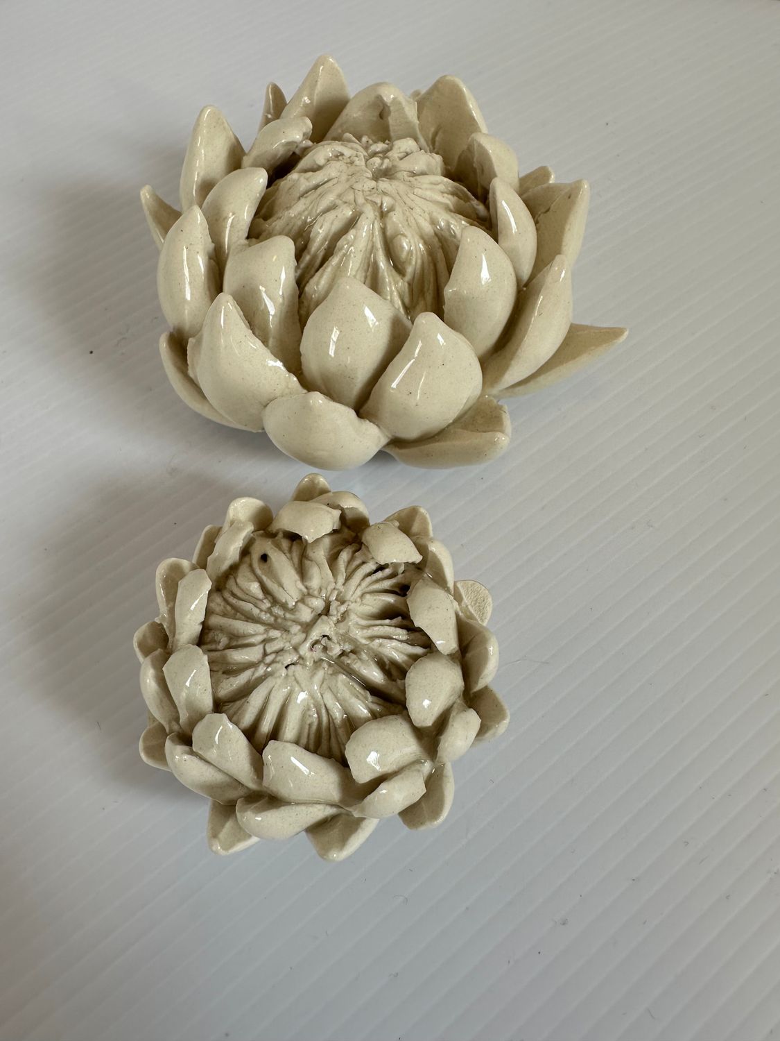 King Protea Paperweight Decor, Size: Large