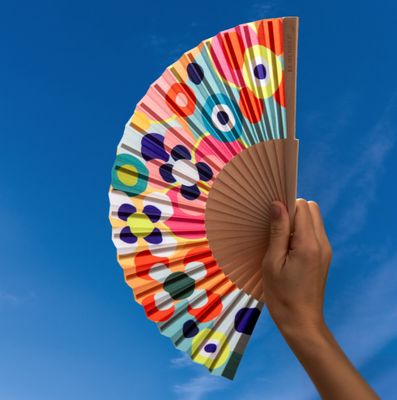 Hand Fan Sushi
