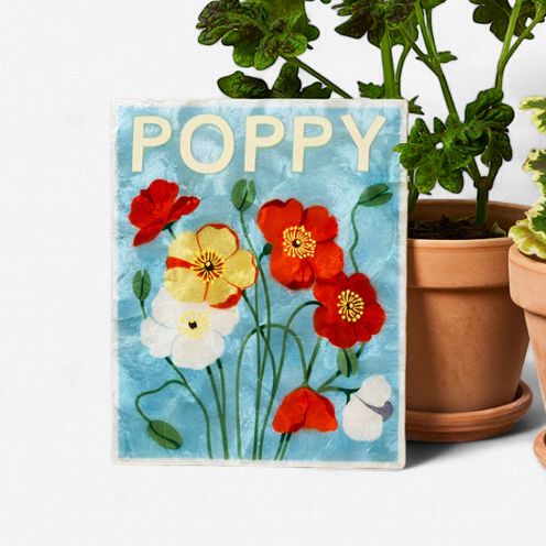 Market Wall Art Poppy