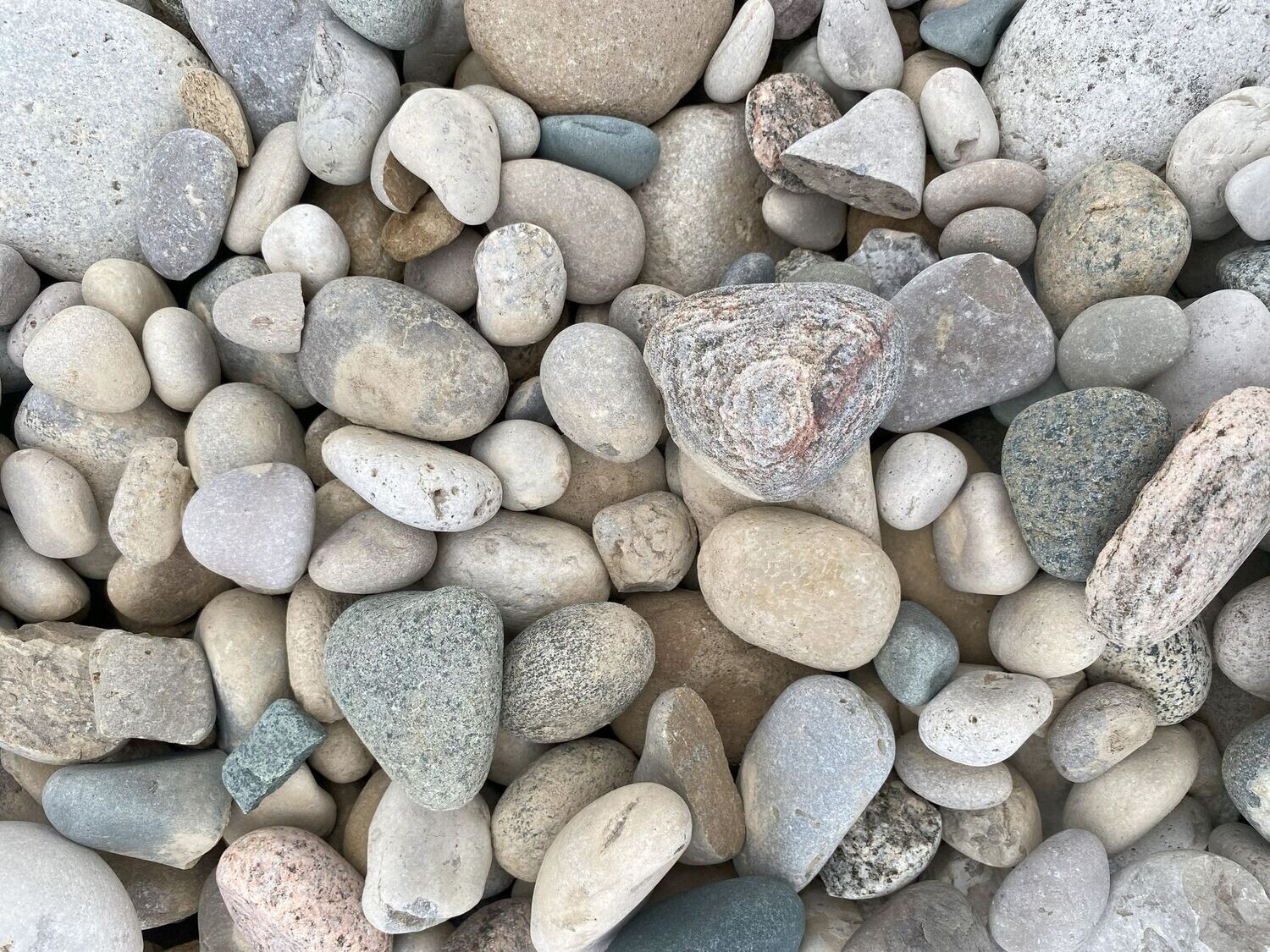 Beach Stone (cu. yd.)