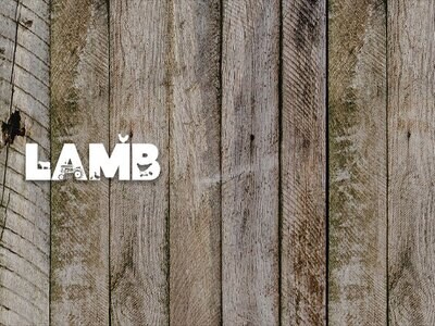 Lamb