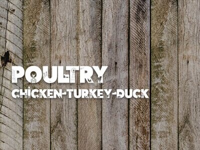 Poultry