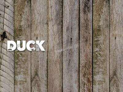 Duck
