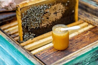 Raw Honey Raw Honey