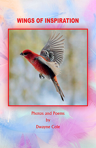 Wings of Inspiration