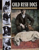 Dogs &amp; Dog Sledding
