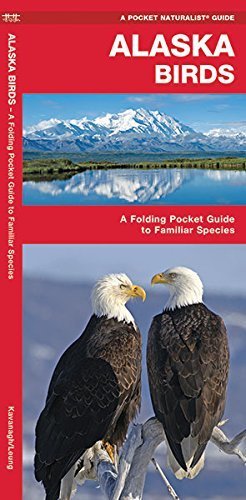 Pocket Naturalist: Alaska Birds