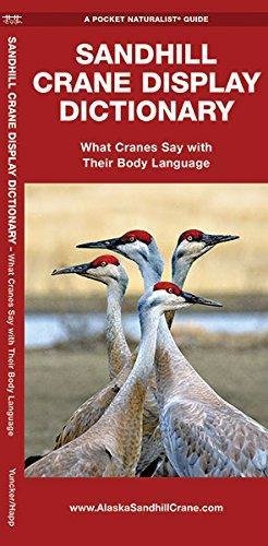 Pocket Naturalist: Sandhill Crane Display Dictionary