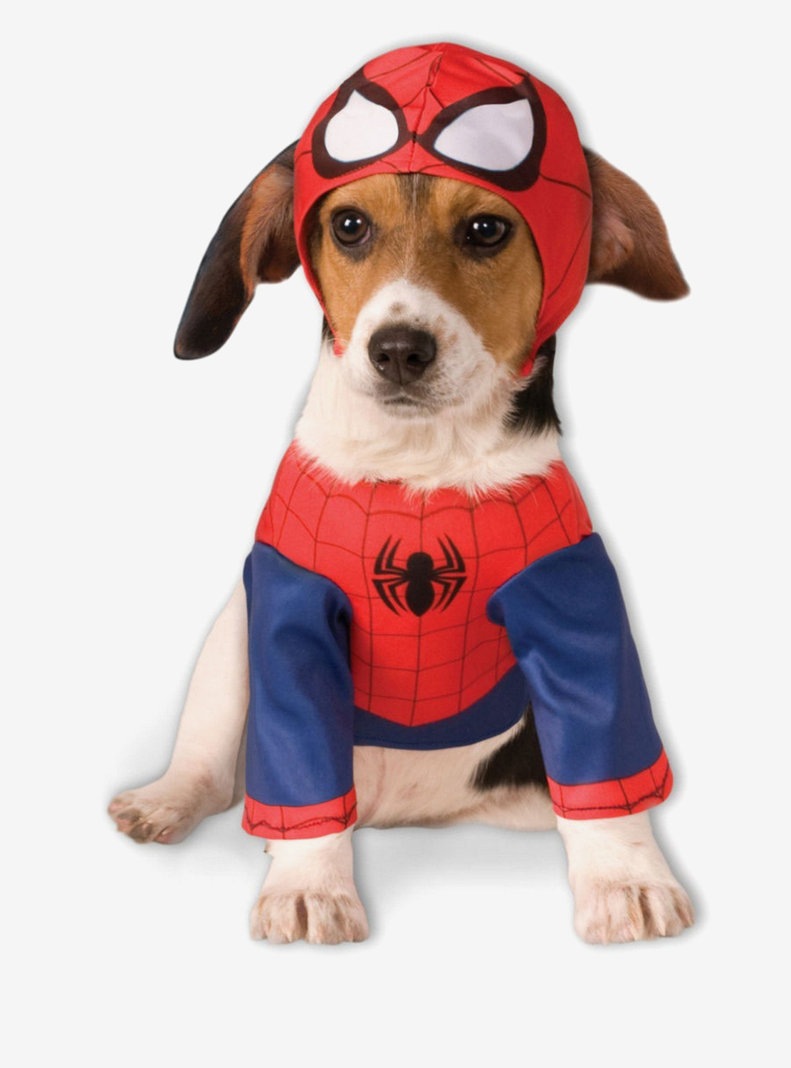 Cosplay Perrito SpiderMan