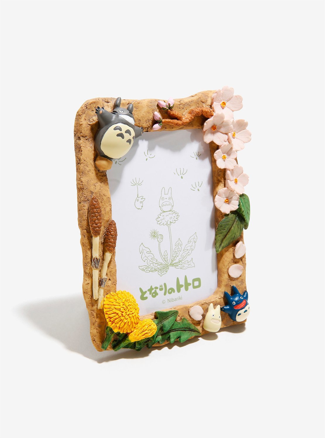 Portaretratos Totoro