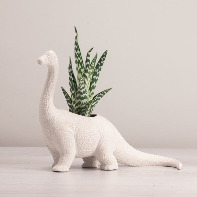 Maceta Dinosaurio