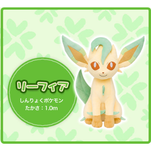 Eevee Peluche Evoluciones