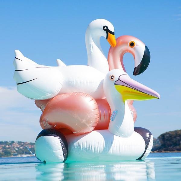 Pato Cisne Flamingo Flotante