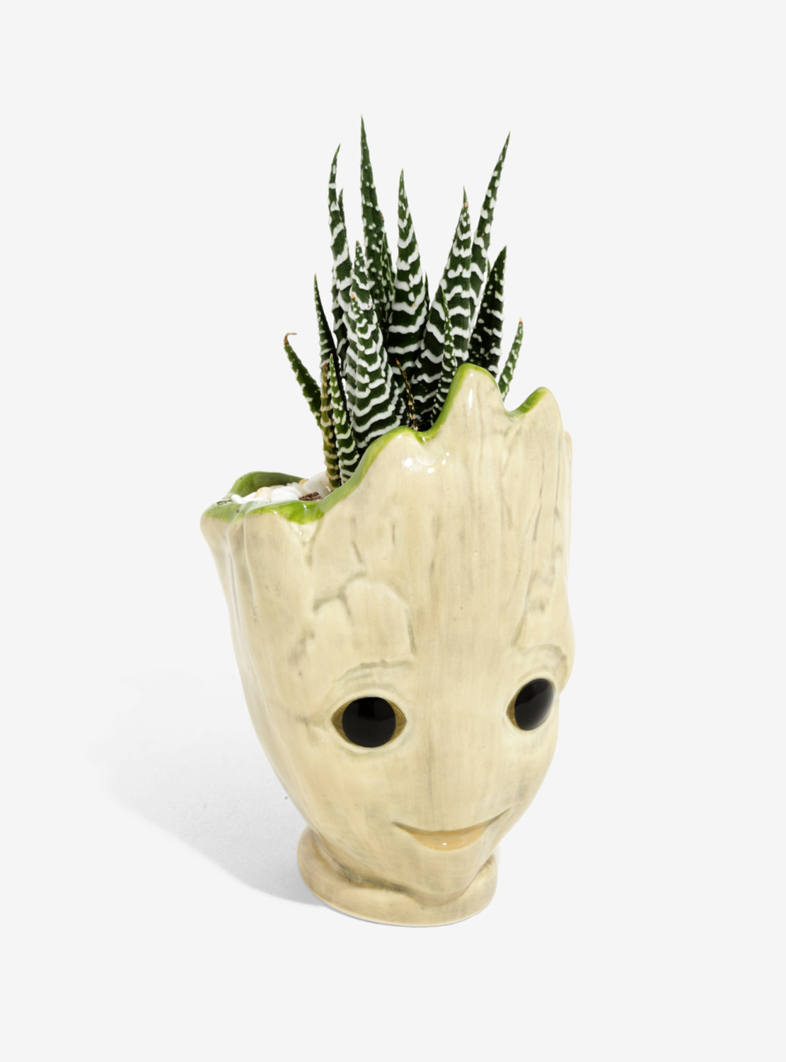 Maceta Groot