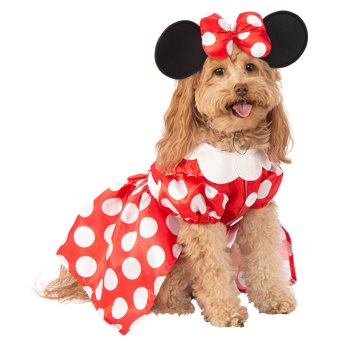 Cosplay Perrito Minnie Mouse