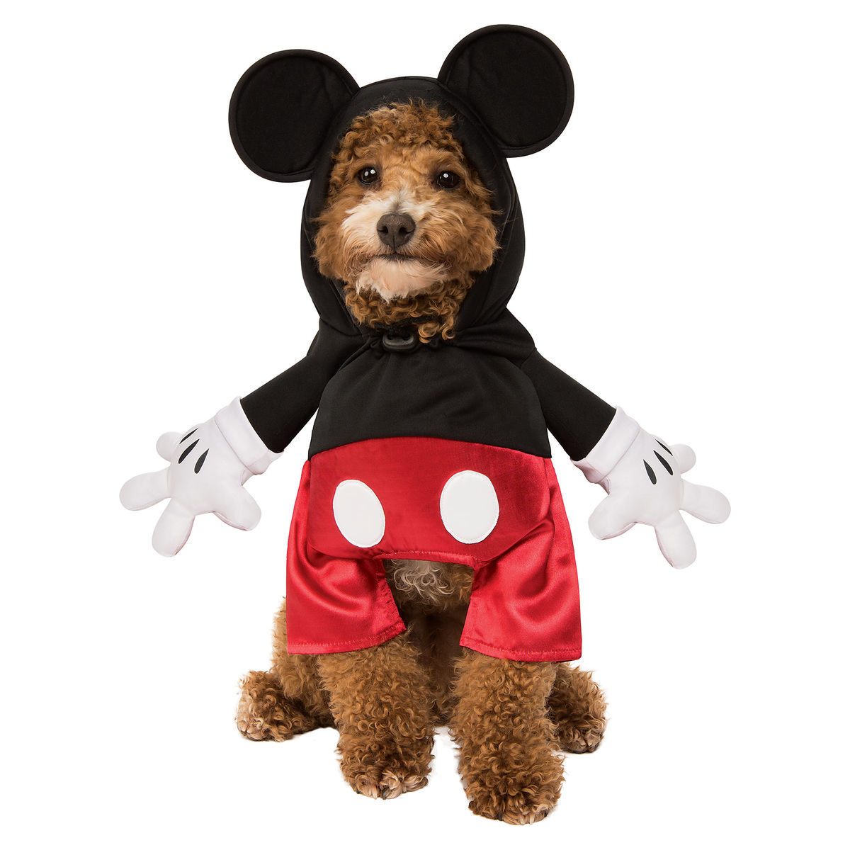 Cosplay Perrito Mickey Mouse