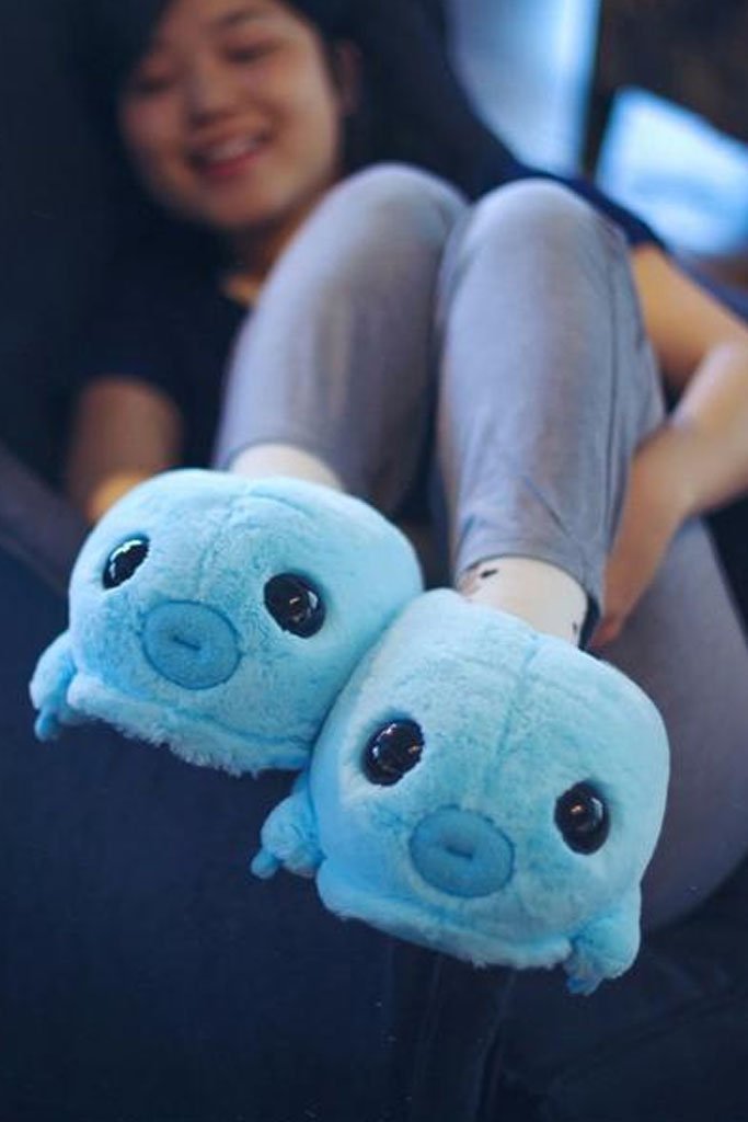 Pantuflas Oso de Agua