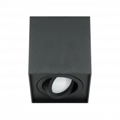 Opbouwspot - Downlight Richtbaar GU10-Zwart-Aluminium