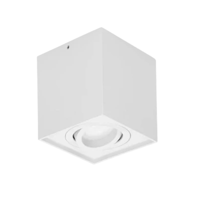 Opbouwspot - Downlight Richtbaar GU10- Wit-Aluminium