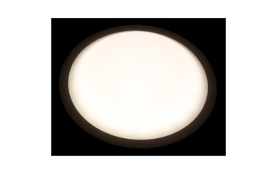 LED verlichting IP65 12W/230V Ø190x79mm - 4000K - 840lm