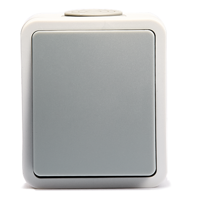 Enkele schakelaar - Opbouw - IP54 "Fix" Grijs