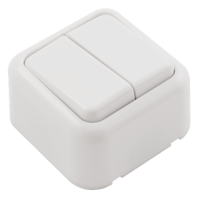 Opbouw Dubbele Lichtschakelaar 250V/10A - Wit