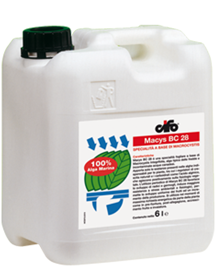 Macys BC 28 - Cifo - Conf. 5 Lt