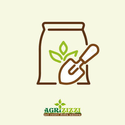 Fertilizzanti