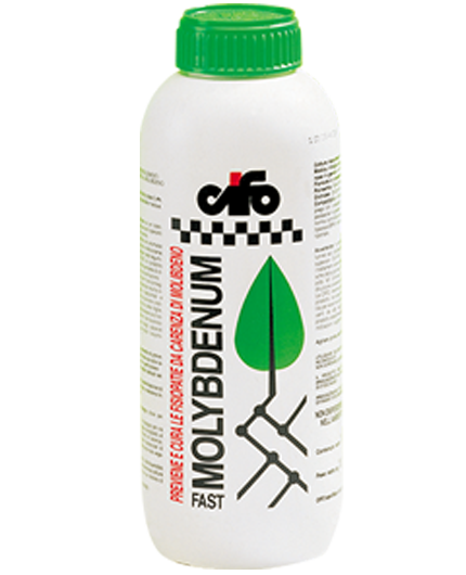 Molybdenum Fast - Cifo - Conf. 1 Lt