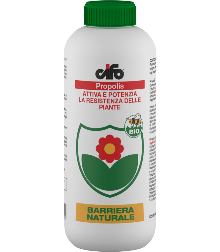 Propolis - Bio - Cifo