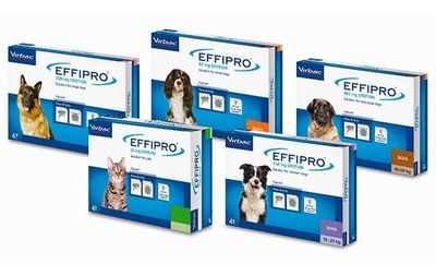 Antiparassitario Effipro Cani - Spot on - Virbac - N.4 pipette