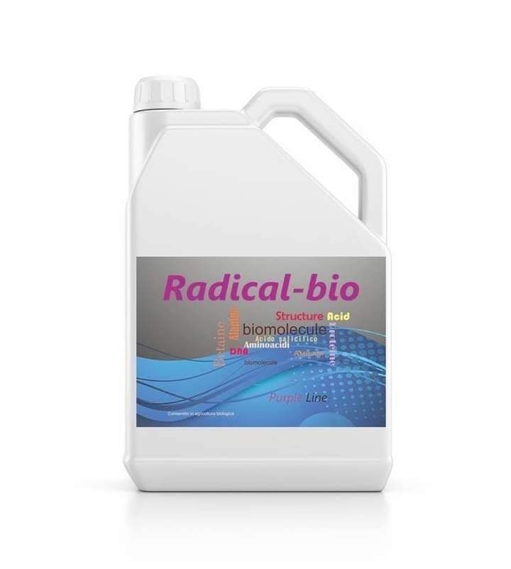 Radical Bio - Biostimolante - Gap Chemical Italia - Conf. 6 Kg
