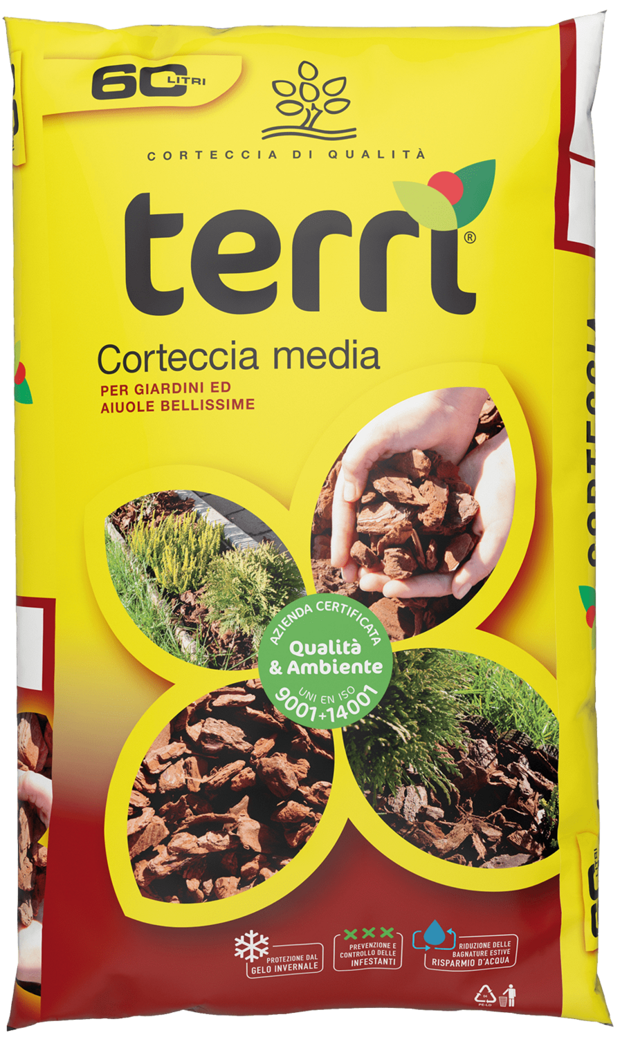 Corteccia Media - Brill - Conf. 60 Lt