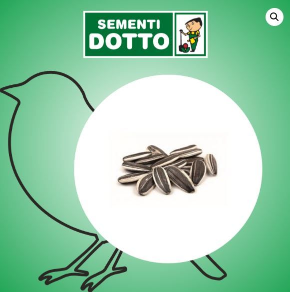 Bonus Semi di Girasole Striato Piccolo 12kg (mangime per uccelli)