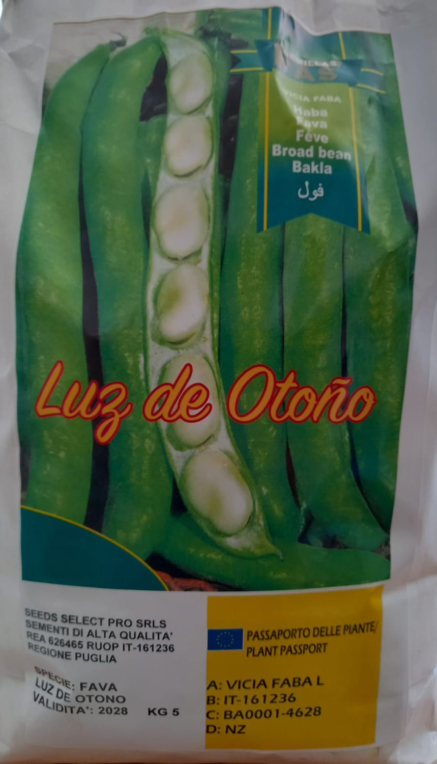 SEMENTI FAVA LUZ DE OTONO - CONF. 5 KG