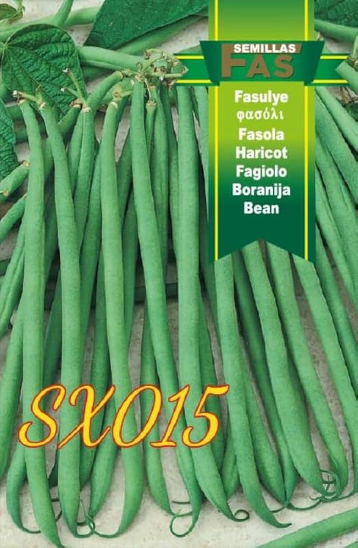 Fagiolo Nano SX015 Confezione da 5000 Semi Fagiolino