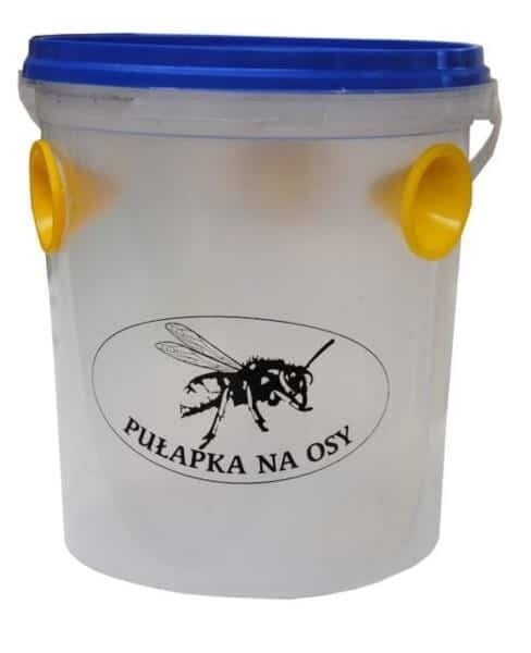 Wasp trap