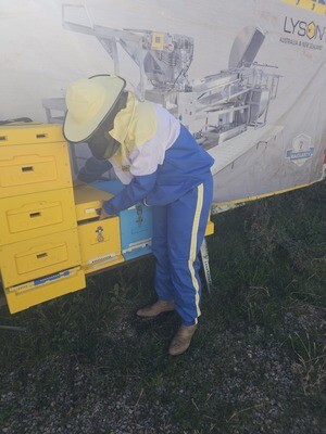 Protective Beekeeping Gear