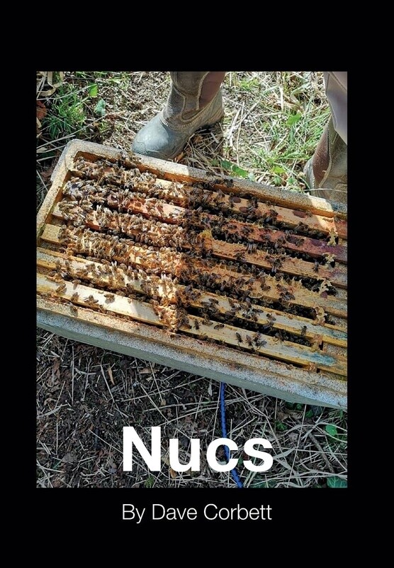 Nucs by Dave Corbett