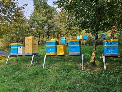 Bee hive stand (zinc), set 2 pcs