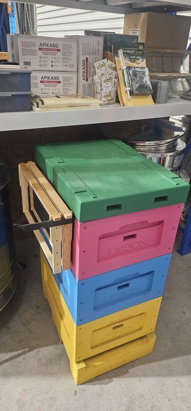 Frame holder for beehive