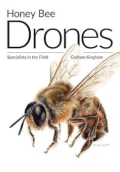 Honey Bee Drones: Specialists in the Field by Graham Kingham